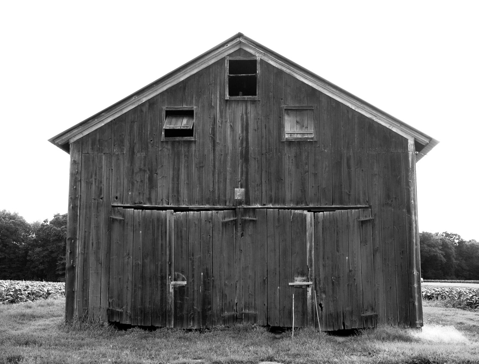 Black and white photograph of a weathered tobacco barn in Suffield, Connecticut