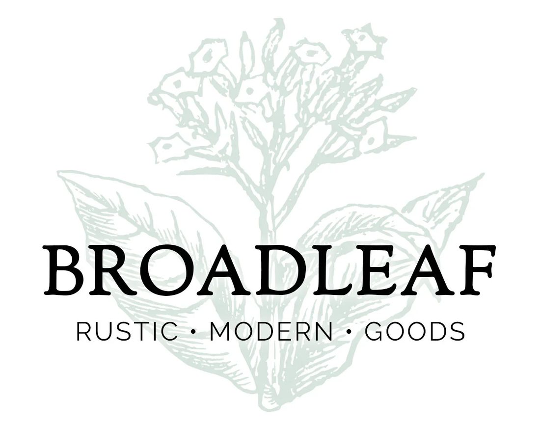 Broadleaf Gift Shop botanical logo illustration